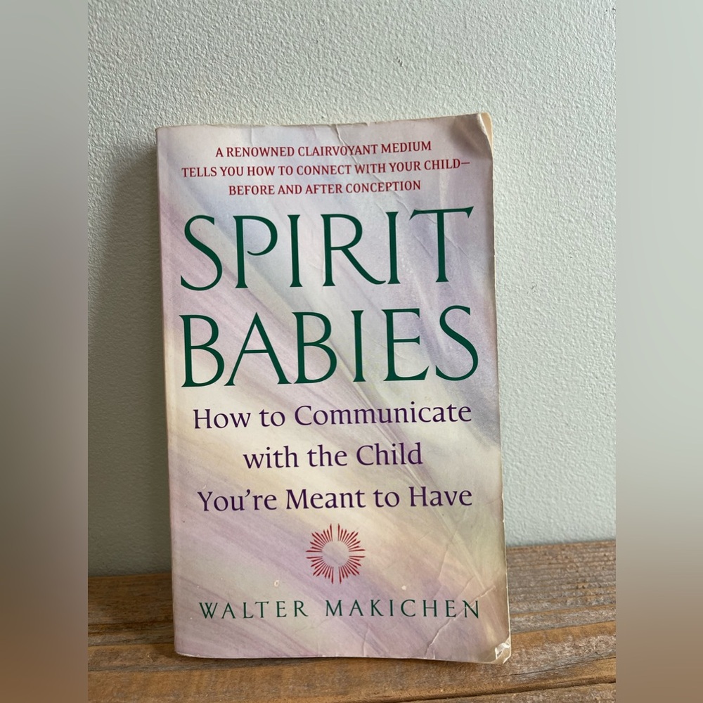 Book - Spirit Babies by Walter Makichen